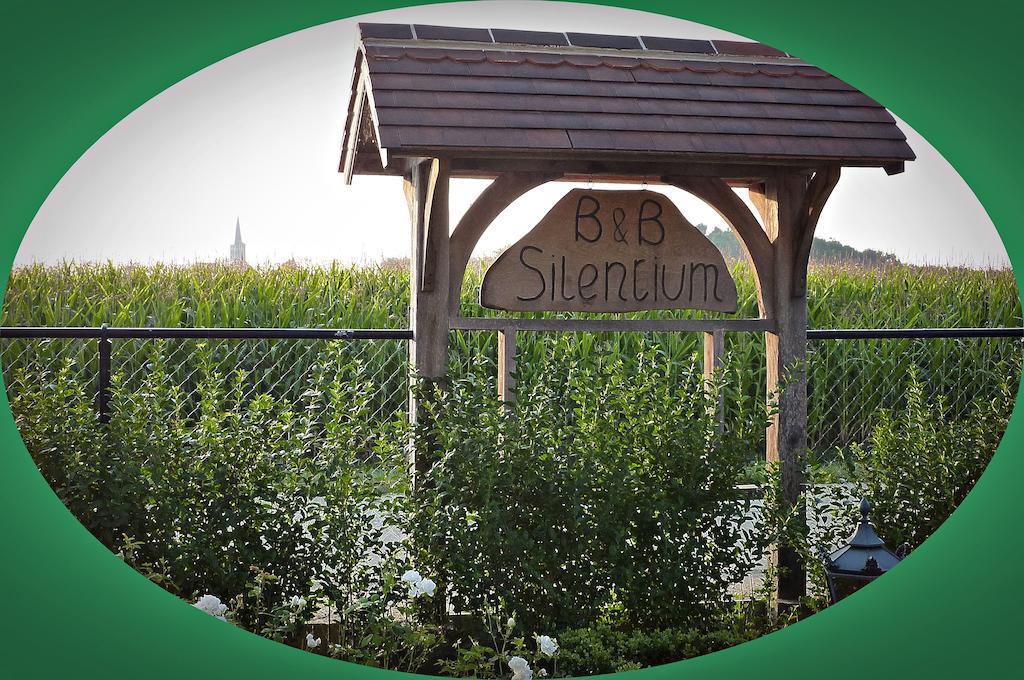 Bed and breakfast Silentium 3*