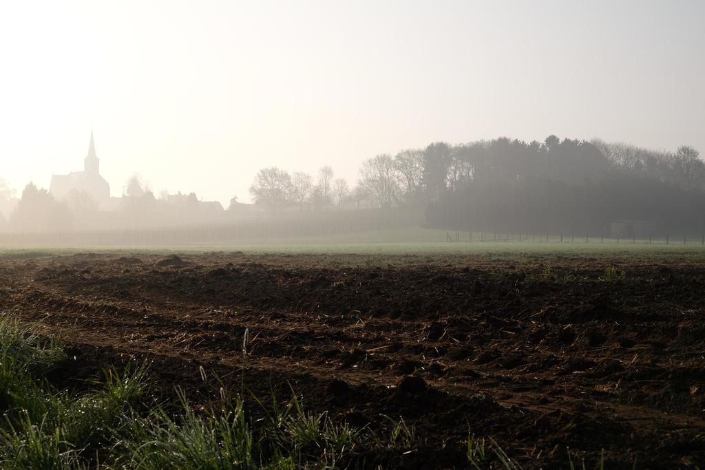 Silentium Tielt