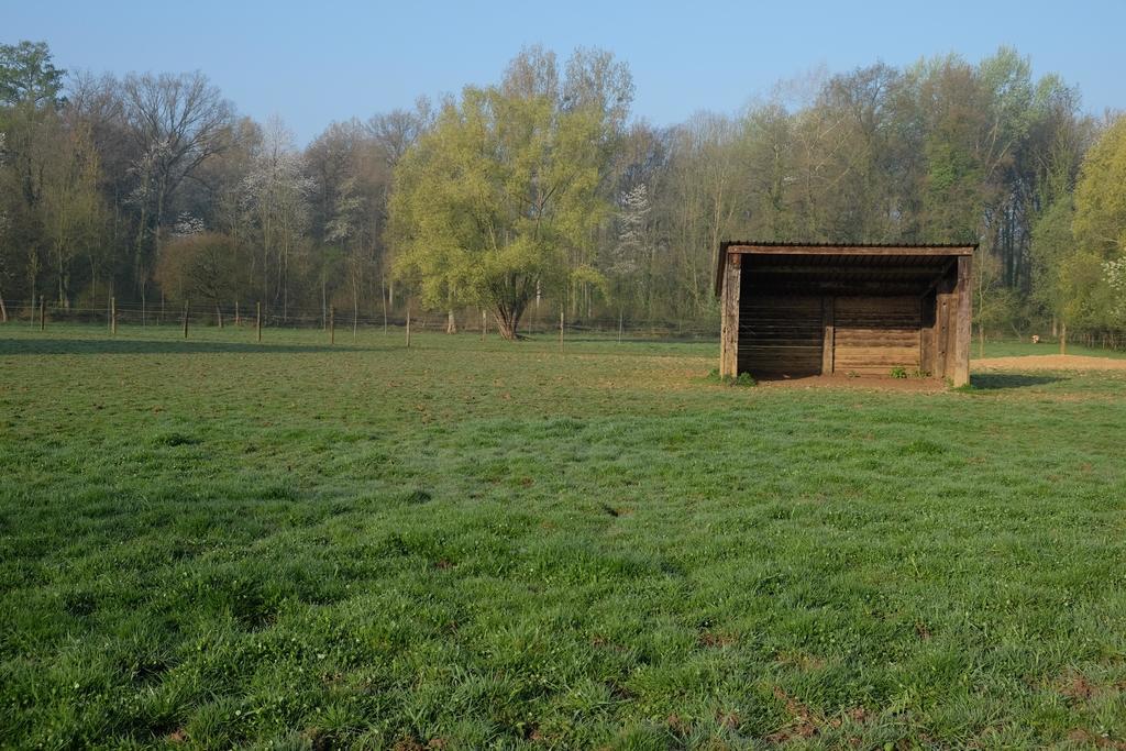 Bed and breakfast Silentium Tielt